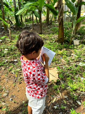 Learning garden