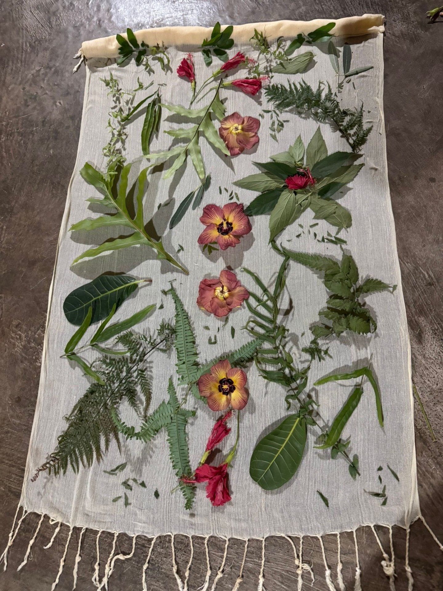 Eco Print Workshop photo 4